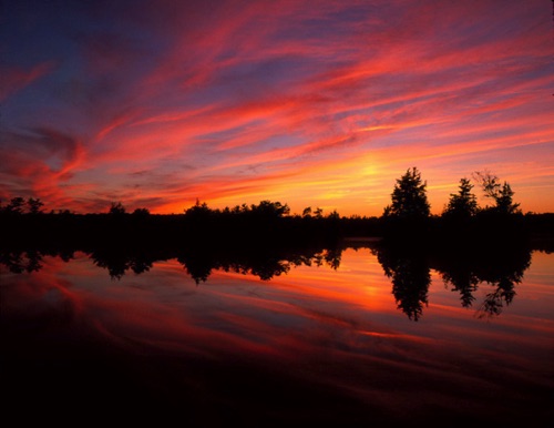 Sunset 2, Plains Brook, Pinelands National Reserve Burlington County, NJ.jpg